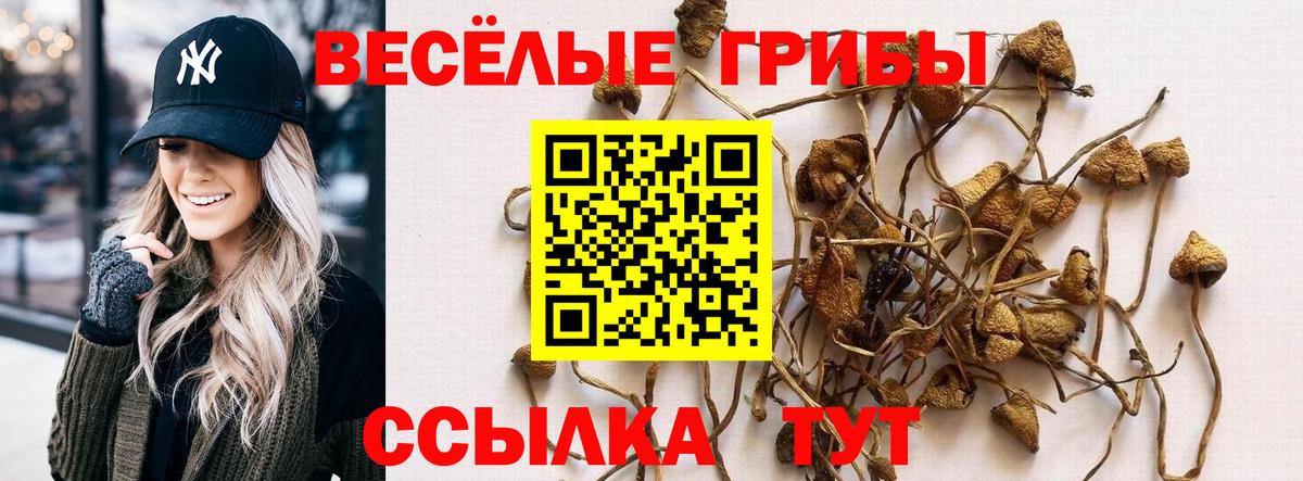 закладки  Галлюциногенные грибы мицелий  Вход с VPN  Томск 