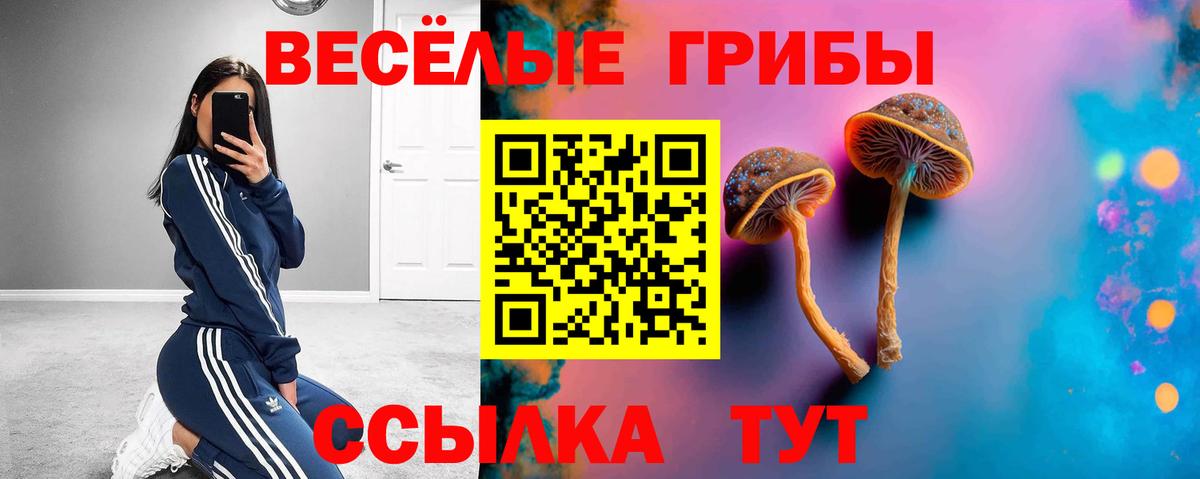Галлюциногенные грибы GOLDEN TEACHER Томск